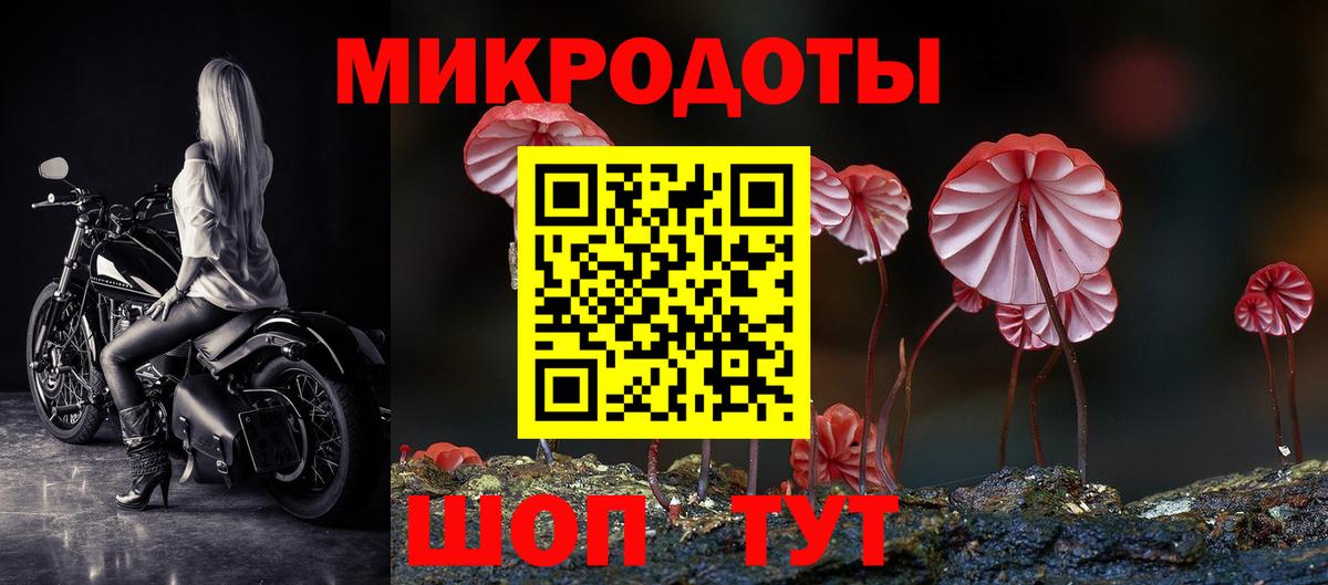 где можно купить наркотик  Псилоцибиновые грибы Psilocybe  Вход с VPN  Киров 