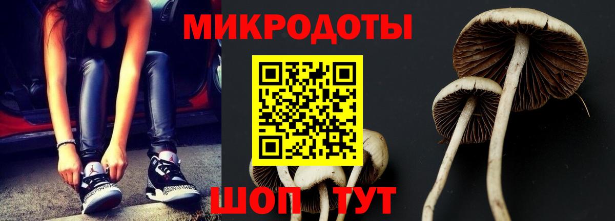 Псилоцибиновые грибы Psilocybe Киров